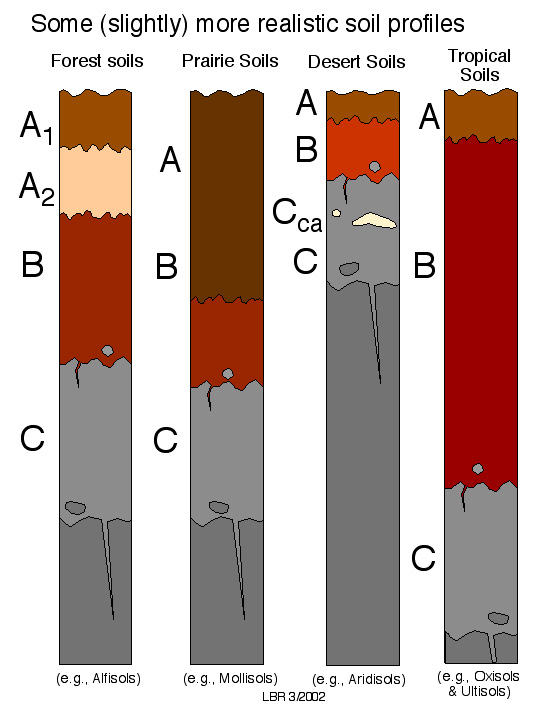 soil profiles in different climates